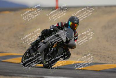 media/Jan-14-2023-SoCal Trackdays (Sat) [[497694156f]]/Turn 12 (120pm)/